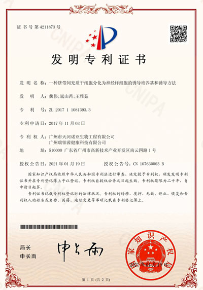 一种脐带间充质干细胞分化为神经样细胞的诱导培养基和诱导方法（发明）